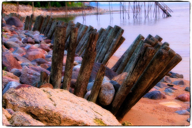 Beach by Trudy Curtis